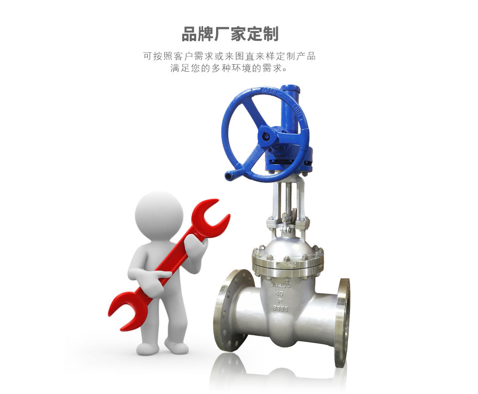 Z541W���X݆���P��l�y֧�ֶ���