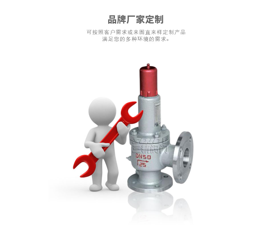 A42F液化氣安全閥 天然氣安全閥可定制 A42F液化氣安全閥 天然氣安全閥可定制