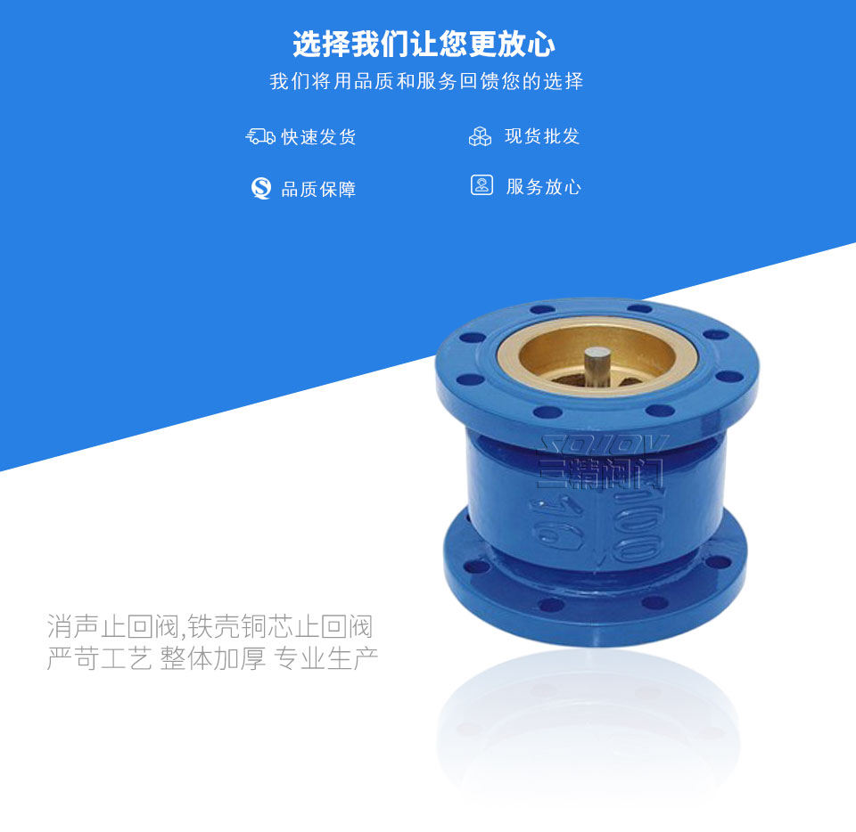 消聲止回閥,鐵殼銅芯止回閥 消聲止回閥,鐵殼銅芯止回閥