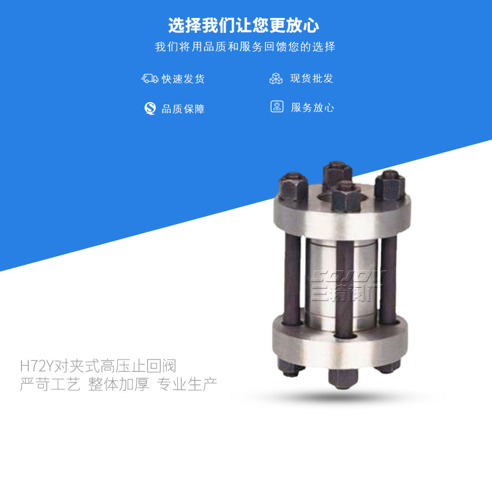 H72Y對夾式高壓止回閥 H72Y對夾式高壓止回閥