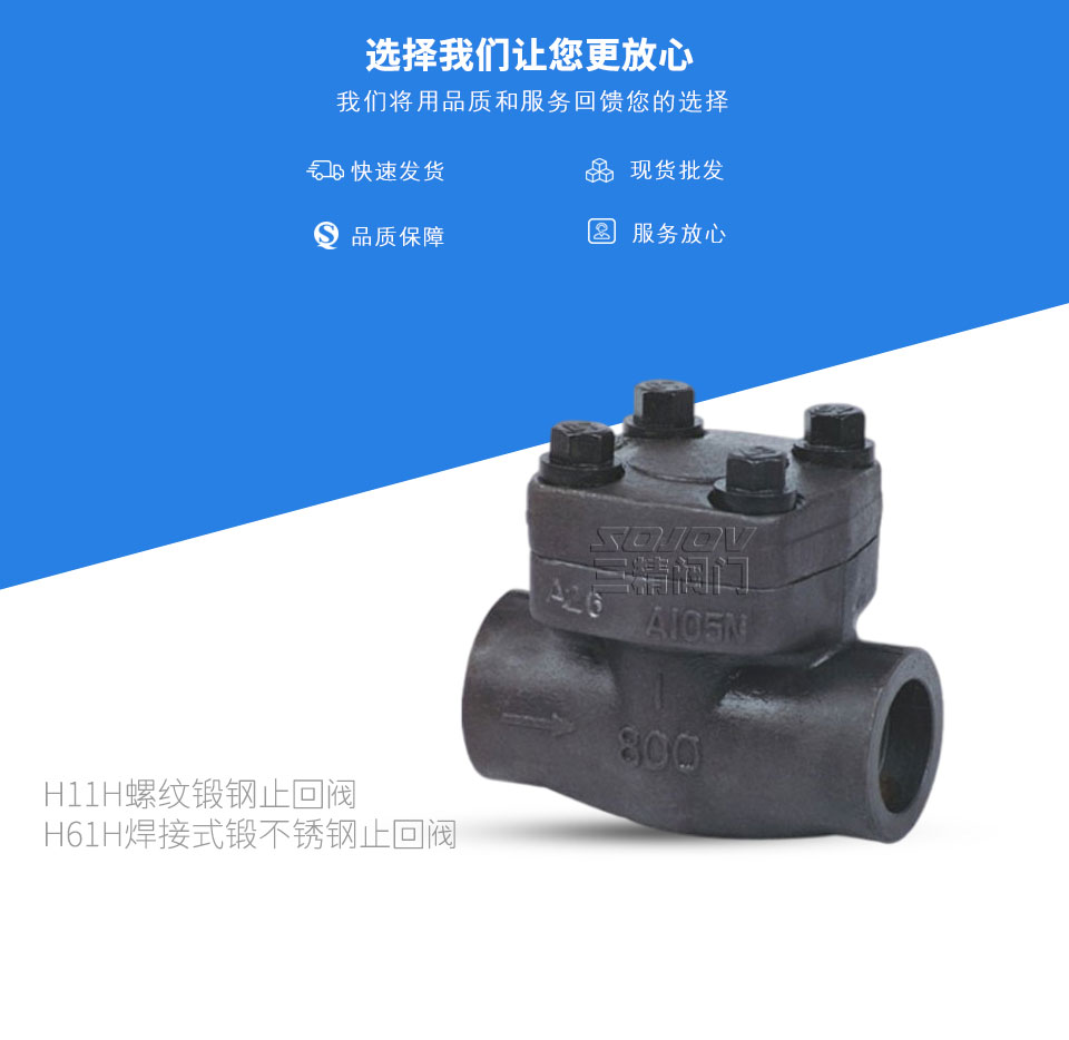 H11H螺紋鍛鋼止回閥,H61H焊接式鍛不銹鋼止回閥 H11H螺紋鍛鋼止回閥,H61H焊接式鍛不銹鋼止回閥