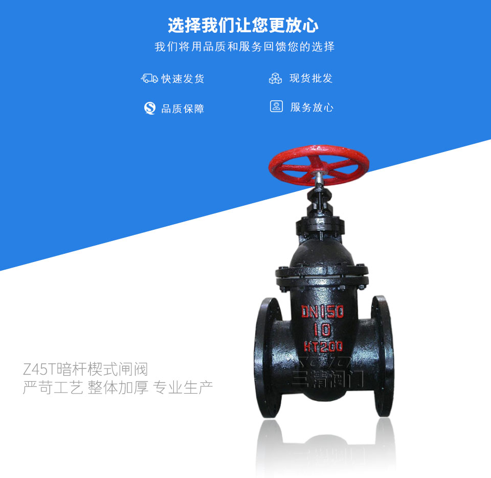 Z45X彈性座封閘閥 Z45X彈性座封閘閥