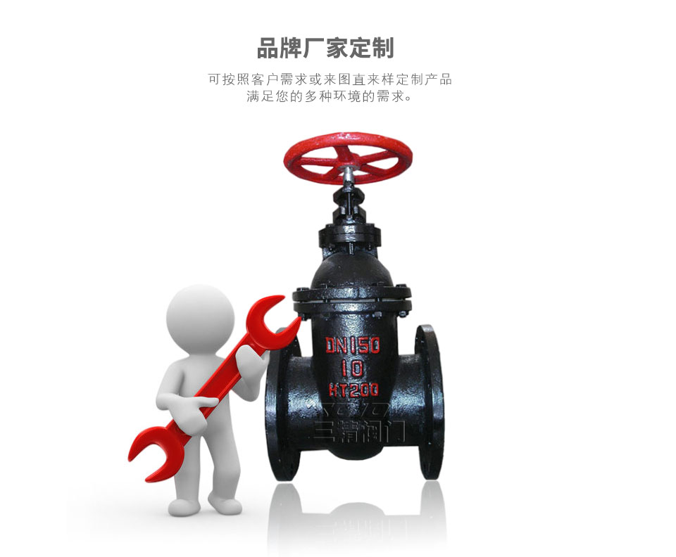 Z45X彈性座封閘閥可定制 Z45X彈性座封閘閥可定制