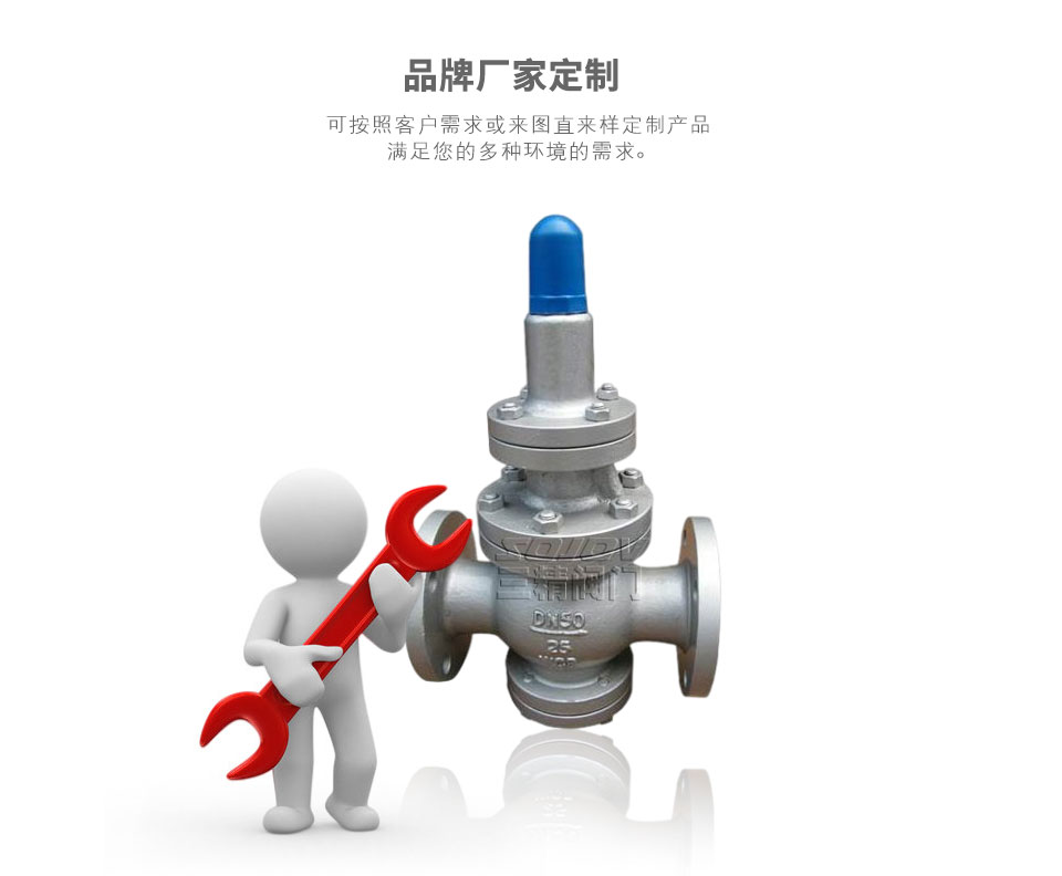 活塞式蒸汽減壓閥可定制 活塞式蒸汽減壓閥可定制
