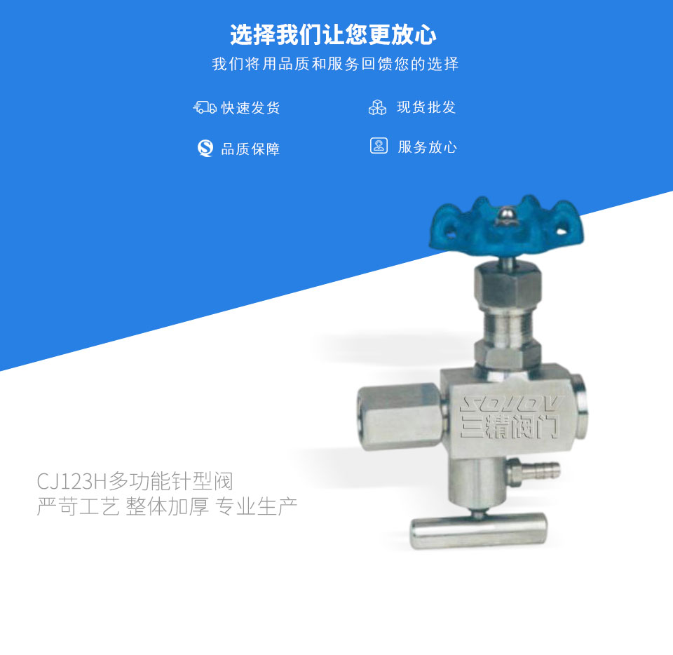 CJ123H多功能針型閥 CJ123H多功能針型閥