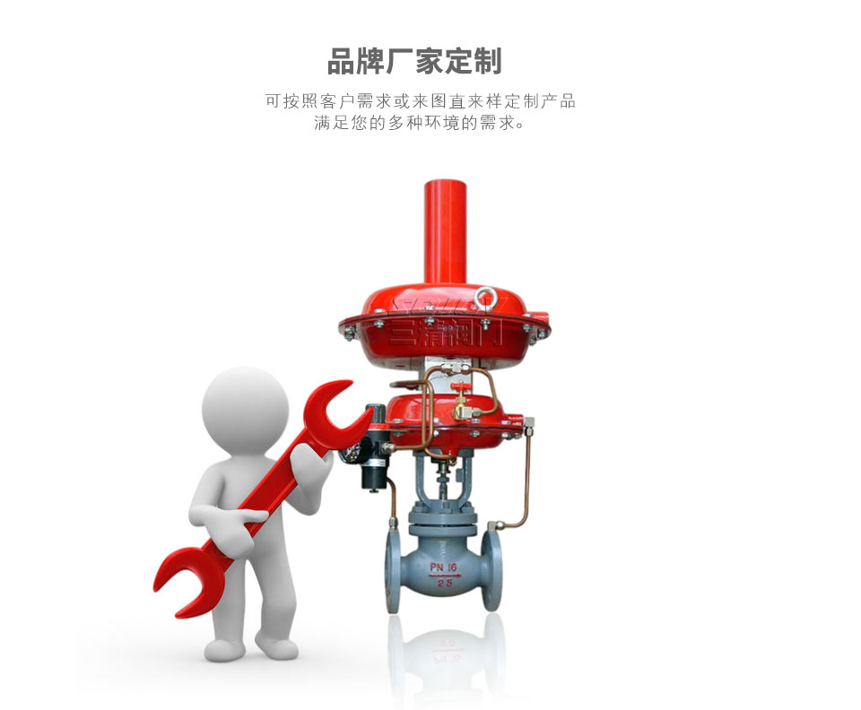 氮封裝置可定制 氮封裝置可定制