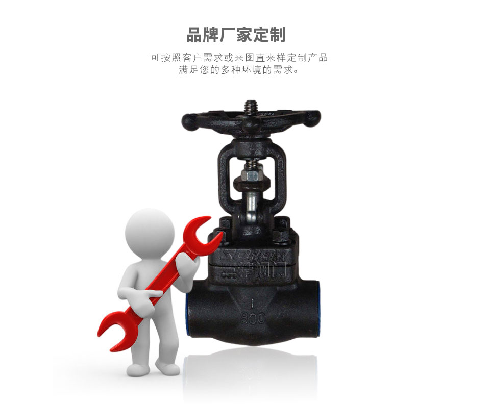 Z11Y/Z61Y鍛鋼閘閥.鍛不銹鋼閘閥可定制 Z11Y/Z61Y鍛鋼閘閥.鍛不銹鋼閘閥可定制