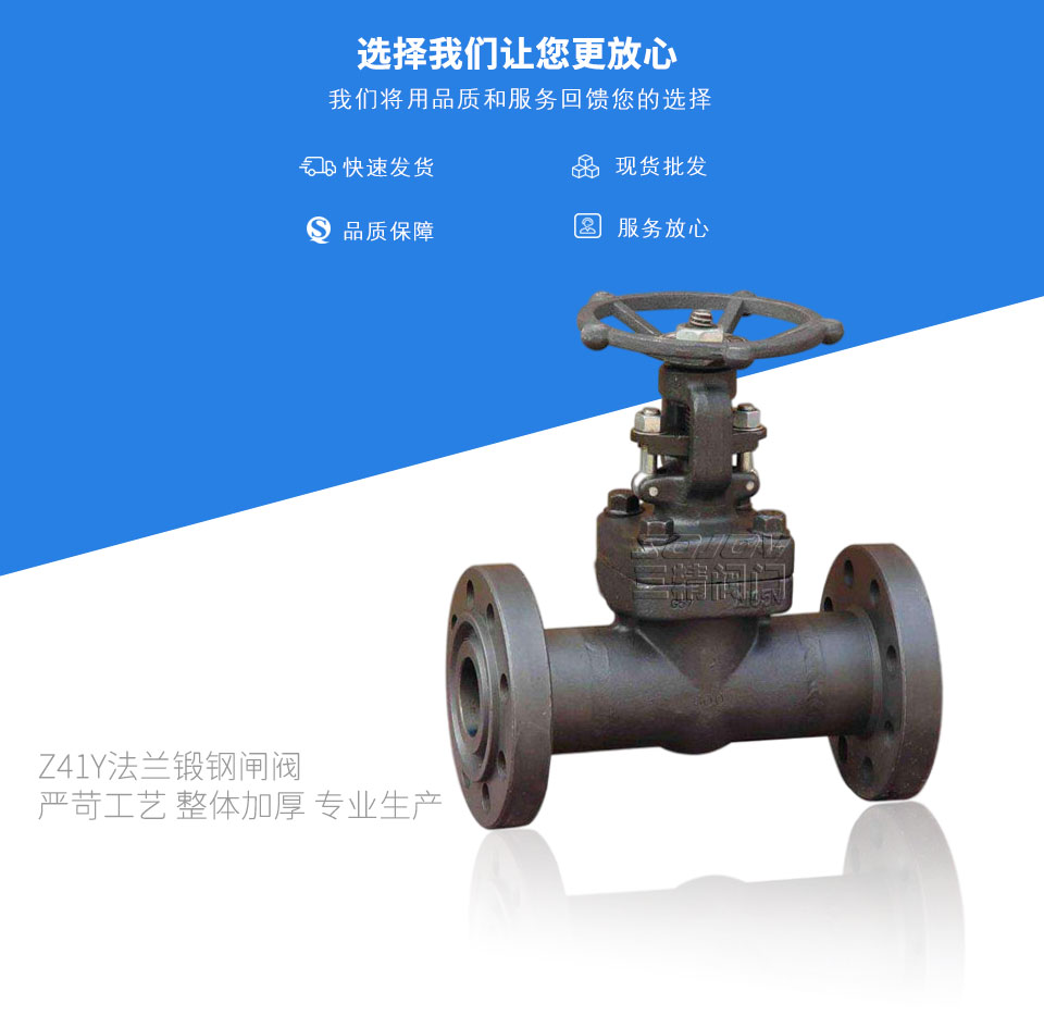 Z41Y法蘭鍛鋼閘閥 Z41Y法蘭鍛鋼閘閥
