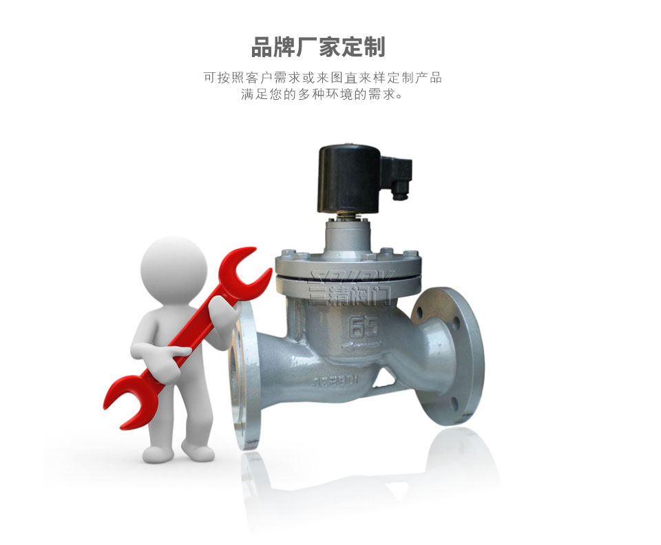 先導(dǎo)活塞式蒸汽電磁閥可定制 先導(dǎo)活塞式蒸汽電磁閥可定制