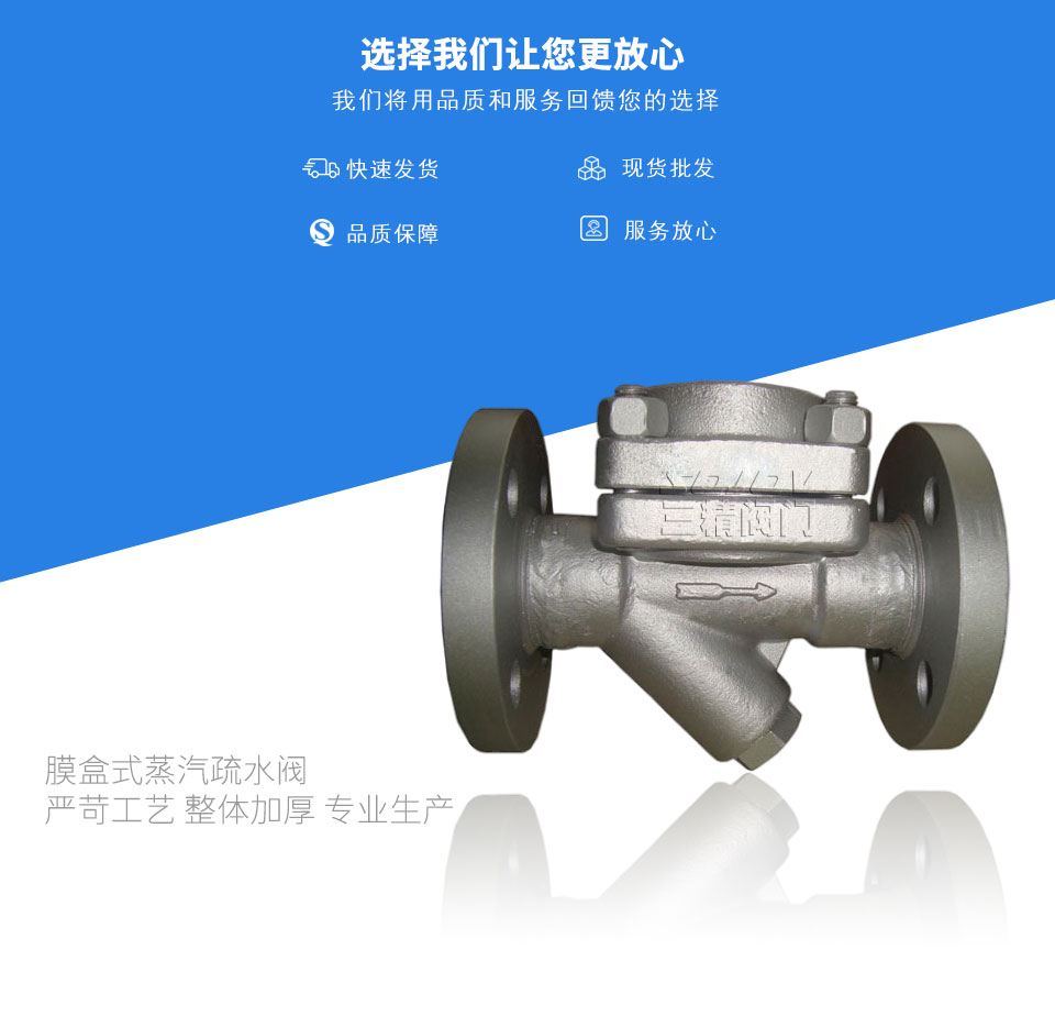 膜盒式蒸汽疏水閥 膜盒式蒸汽疏水閥