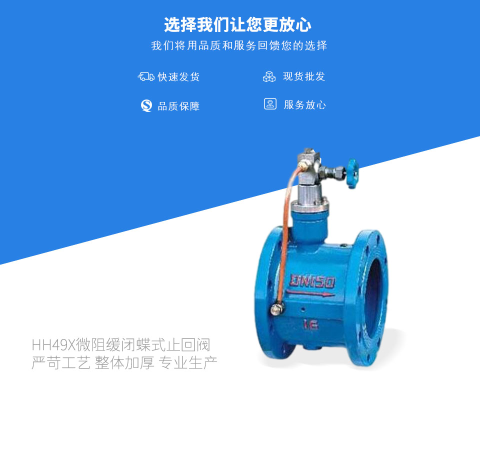 HH49X微阻緩閉蝶式止回閥 HH49X微阻緩閉蝶式止回閥