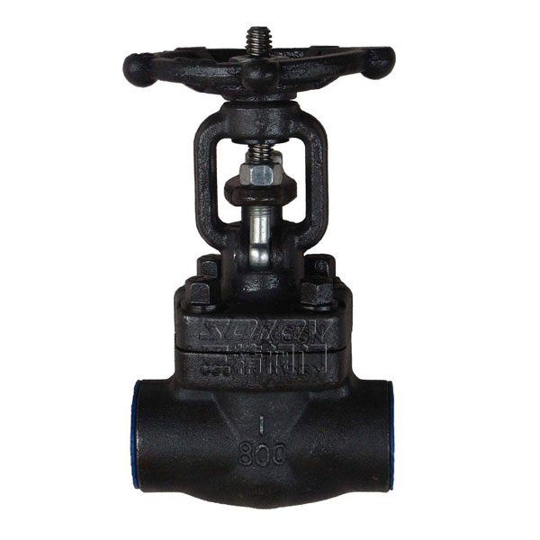 Z11Y/Z61Y���l�y.呲��P��l�y