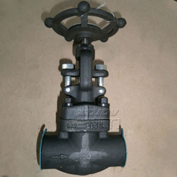 Z11Y/Z61Y���l�y.呲��P��l�y