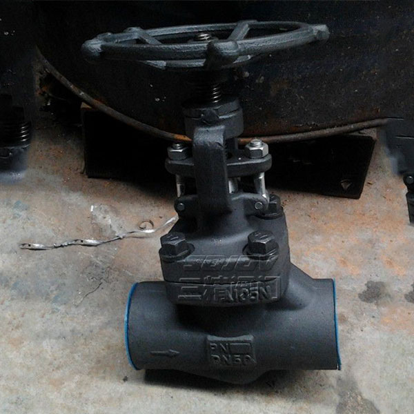 Z11Y/Z61Y���l�y.呲��P��l�y